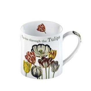 Cana Tip Toe Tulips 330ml Cana Tip Toe Tulips 330ml